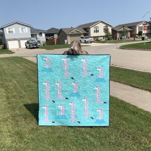 Meerkats are where it’s at Modern Quilt ready to ship within CANADA