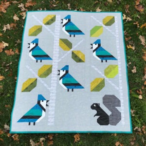 Winter Birds Blue Jay Modern Quilt ready to ship within CANADA